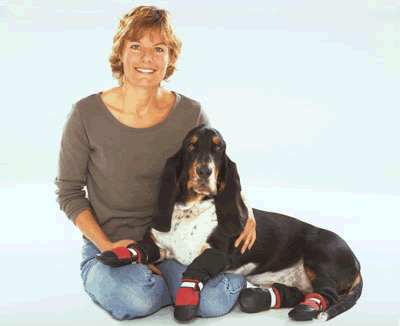 marianne and muttluk beagle